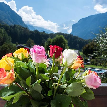 Jungfrau Hotel Annex Alpine-Inn Wilderswil Bagian luar foto
